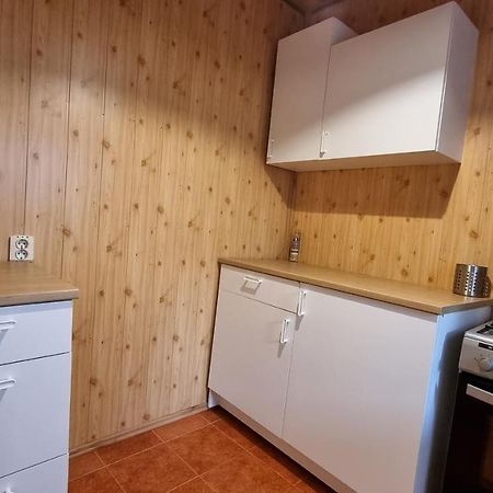 Pensiunea Barsan Vişeu de Sus Extérieur photo