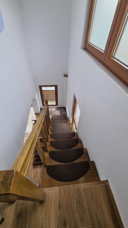 Pensiunea Barsan Vişeu de Sus Extérieur photo