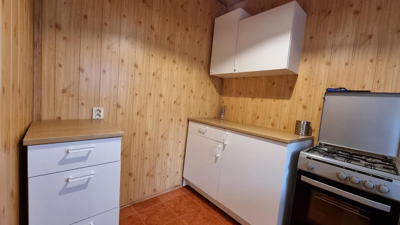 Pensiunea Barsan Vişeu de Sus Extérieur photo