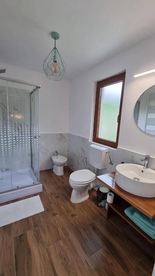 Pensiunea Barsan Vişeu de Sus Extérieur photo
