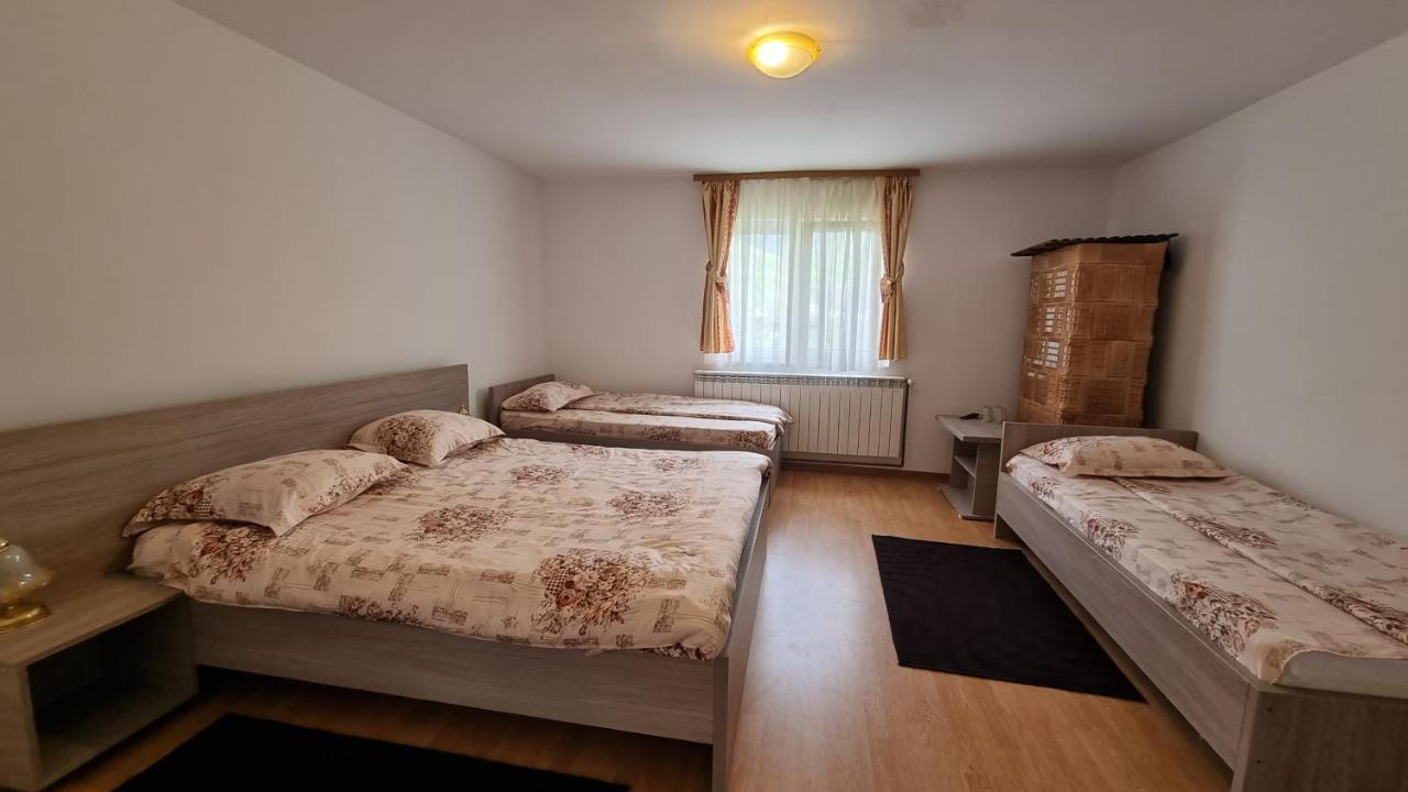 Pensiunea Barsan Vişeu de Sus Extérieur photo