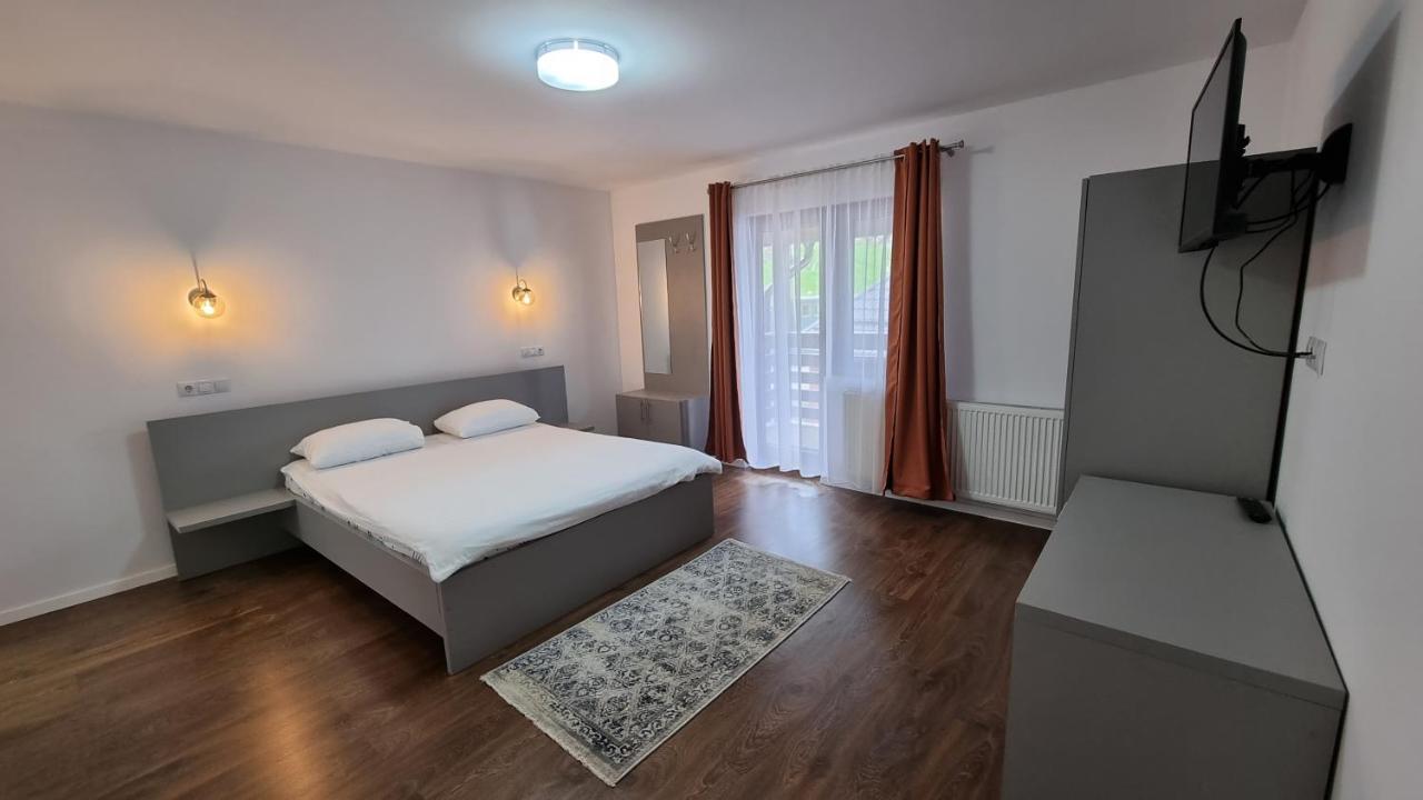 Pensiunea Barsan Vişeu de Sus Extérieur photo
