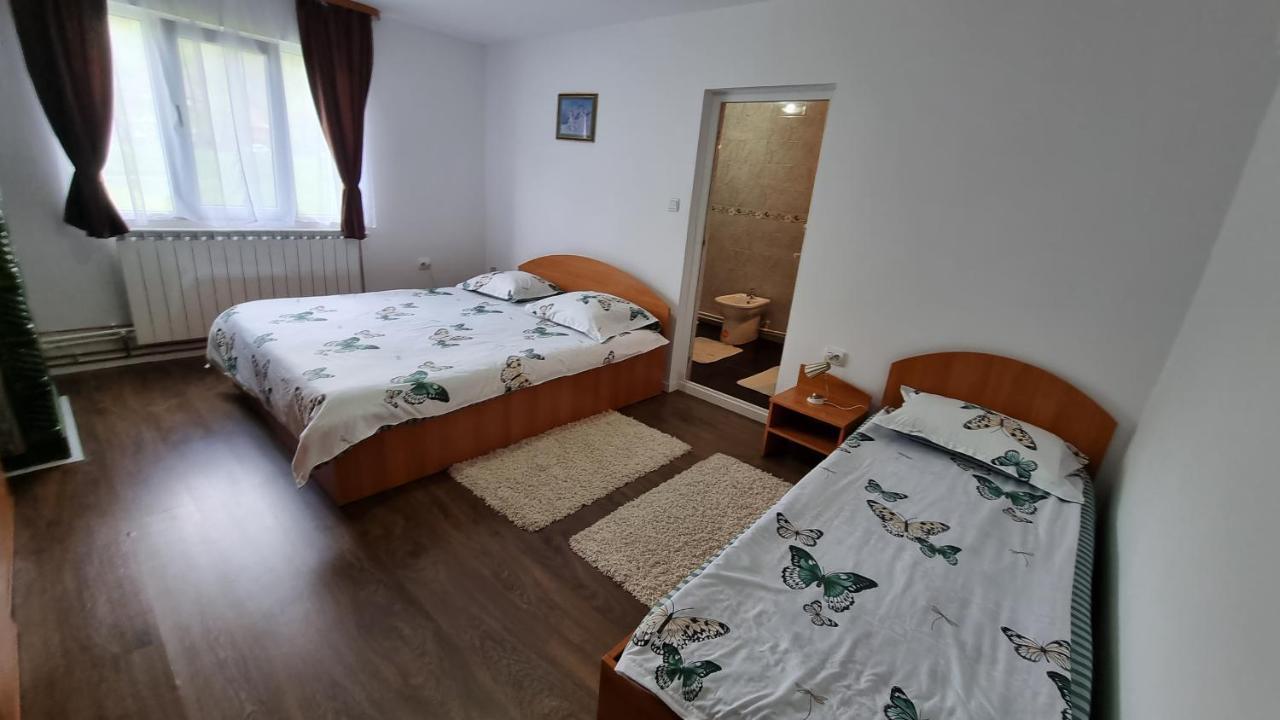Pensiunea Barsan Vişeu de Sus Extérieur photo